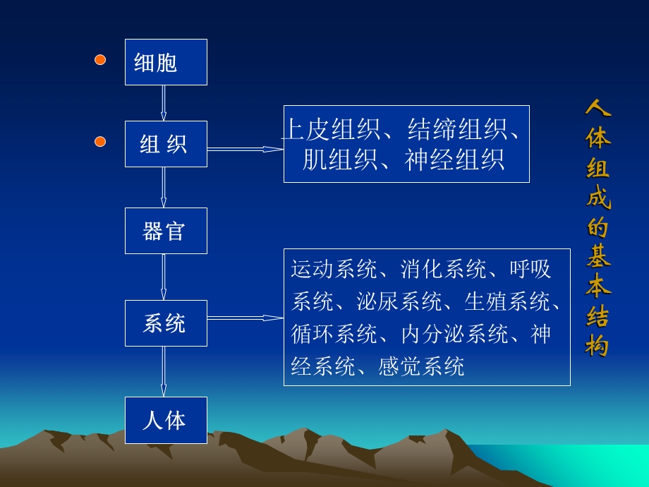 正常人体学第二章细胞.ppt_第2页