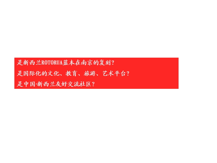 【精品】南京市江宁区罗托鲁拉小镇别墅项目整合传播策略案204页.ppt_第3页