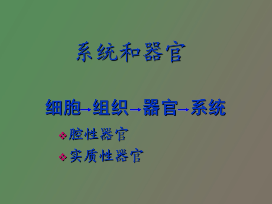 循环系统组织学.ppt_第1页