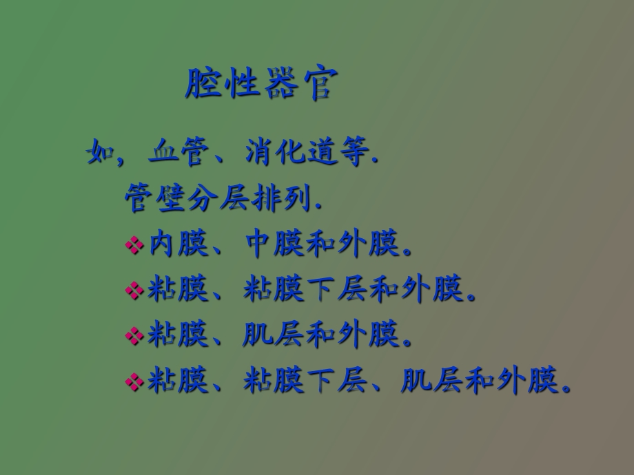 循环系统组织学.ppt_第2页