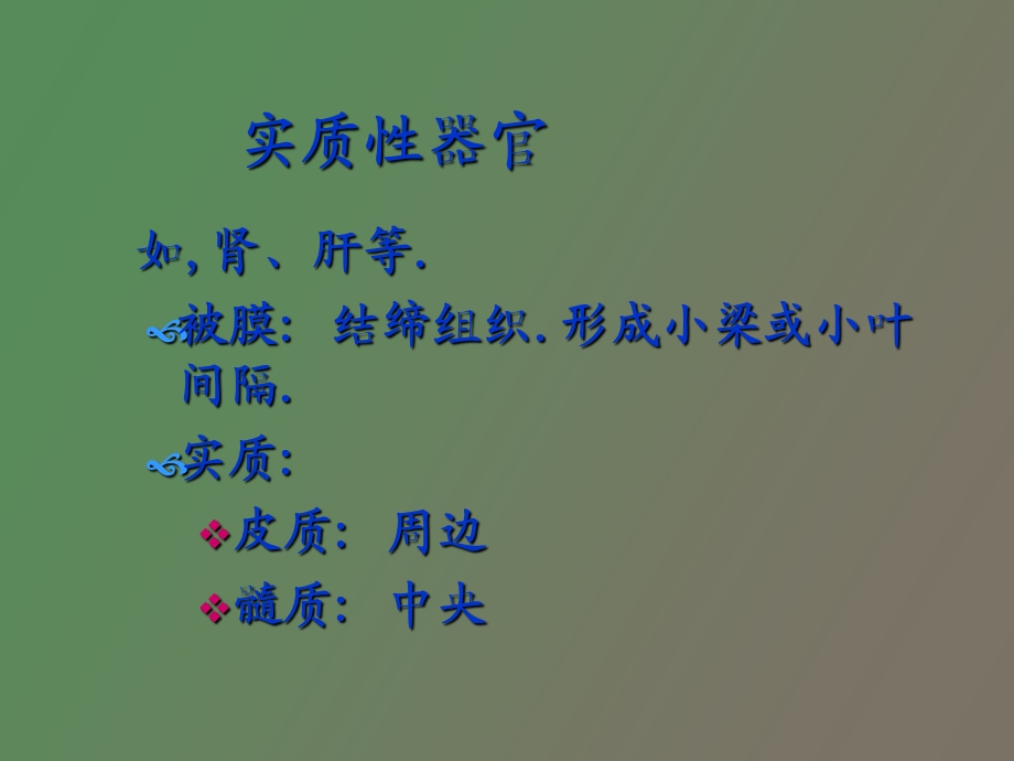 循环系统组织学.ppt_第3页