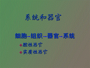 循环系统组织学.ppt