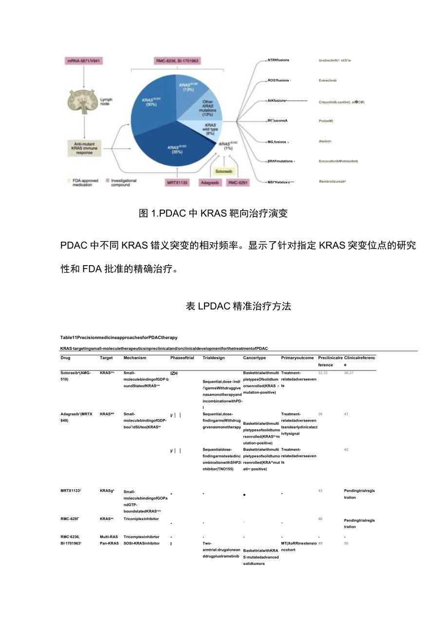 2023胰腺导管腺癌靶向及免疫治疗进展（全文）.docx_第3页