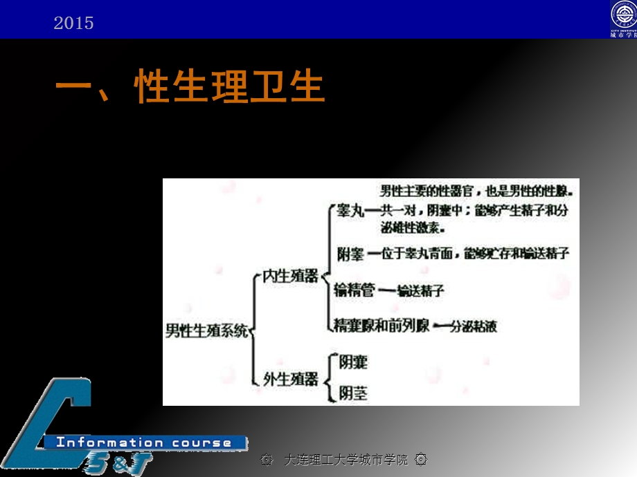 性与生殖健康基础知识.ppt_第3页