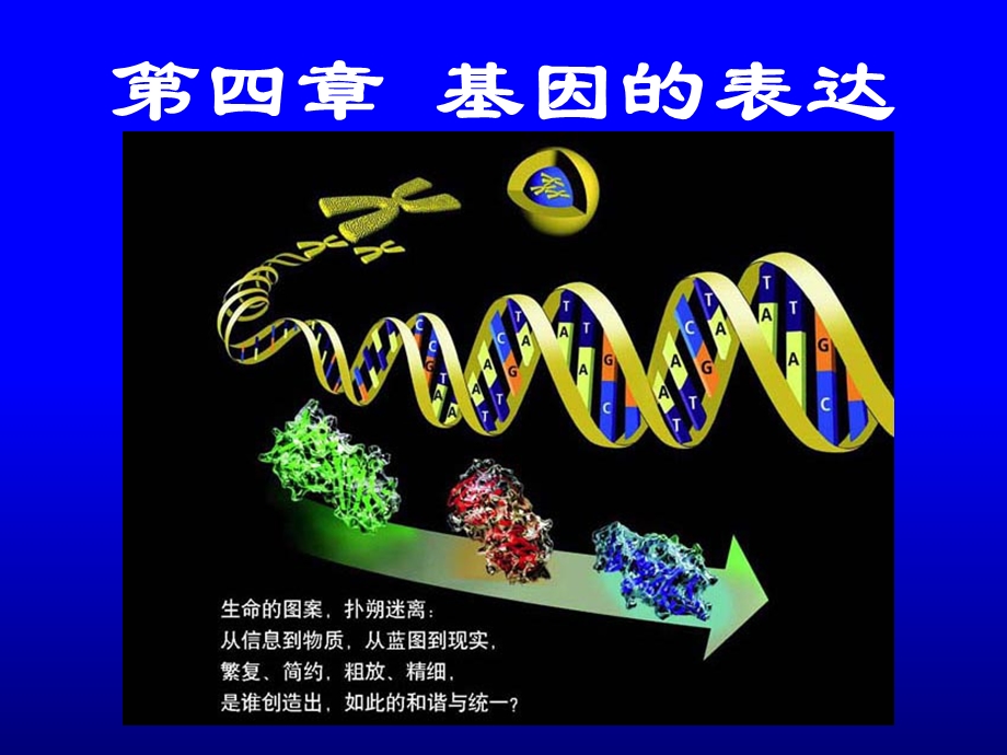 正式第四章基因的表达.ppt_第1页