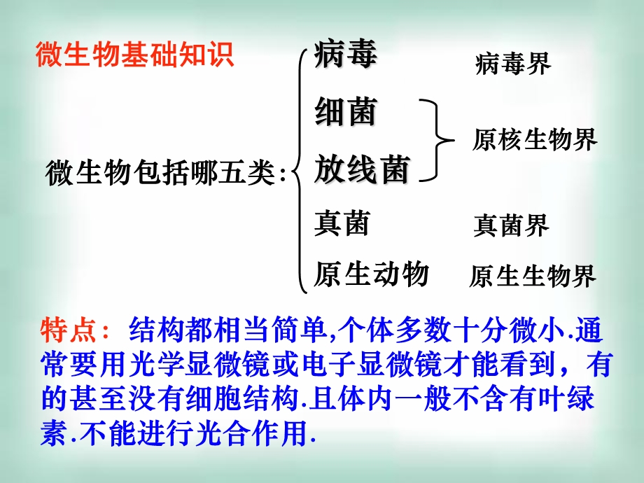 微生物的实验室培养.ppt_第2页