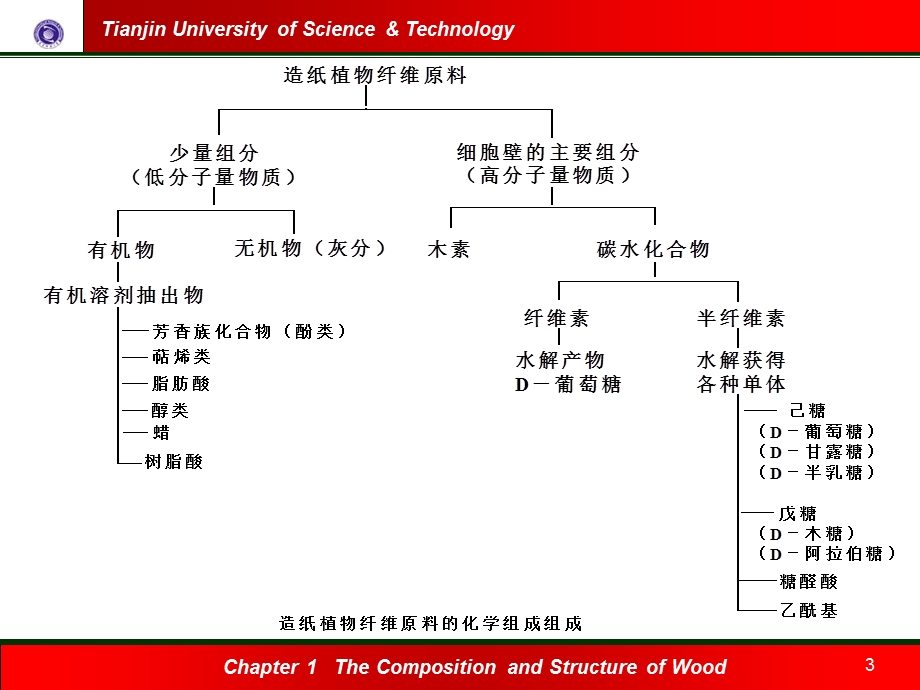 植物纤维原料的化学组成.ppt_第3页