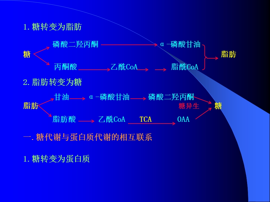 生化(联系与调控).ppt_第2页