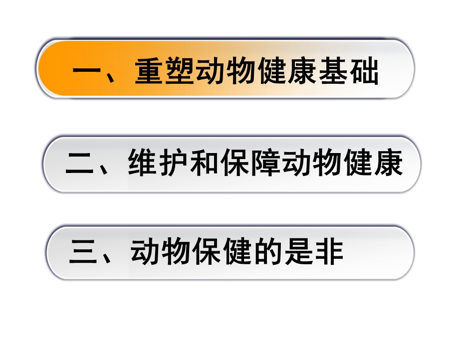 构建养殖“大安全”体系.ppt_第2页