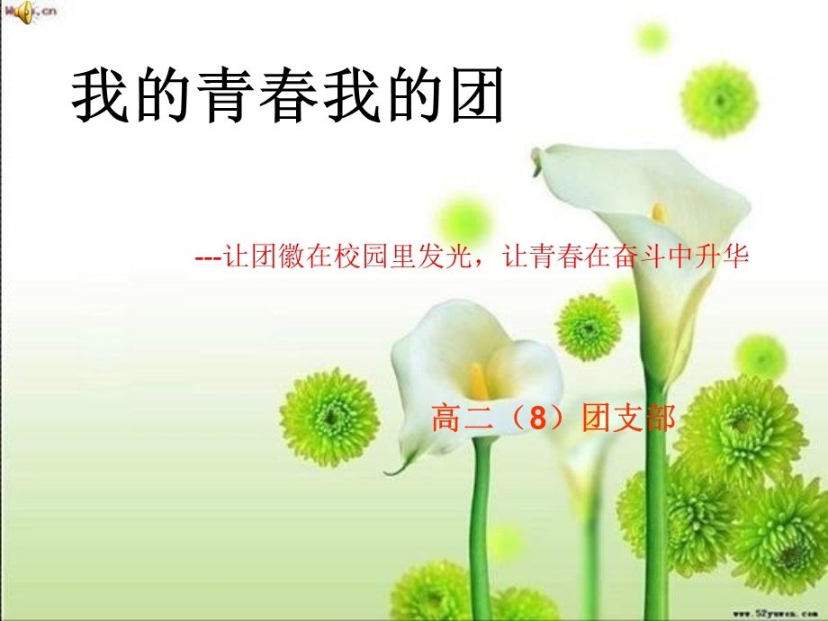 我的青春我的团班会PPT.ppt_第1页