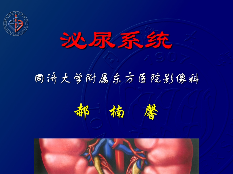 腹部影像学诊断ppt课件.ppt_第2页