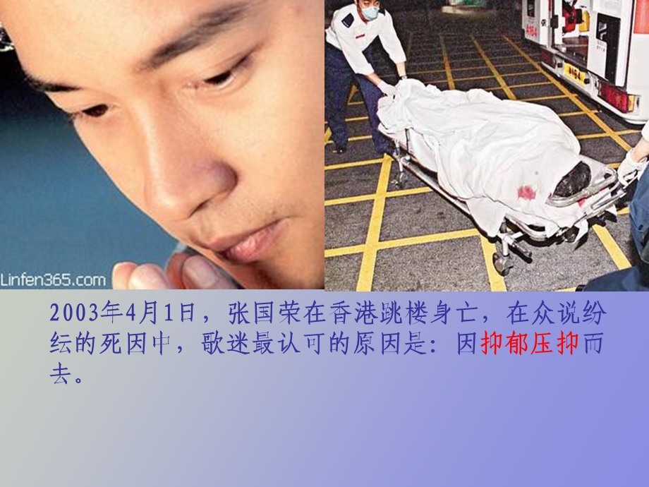 抑郁症与药物治疗.ppt_第2页