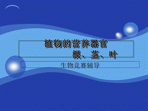 植物生物学-植物的营养器官：根、茎、叶共115张.ppt