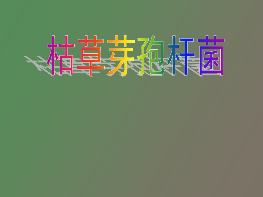 枯草芽孢杆菌.ppt_第1页