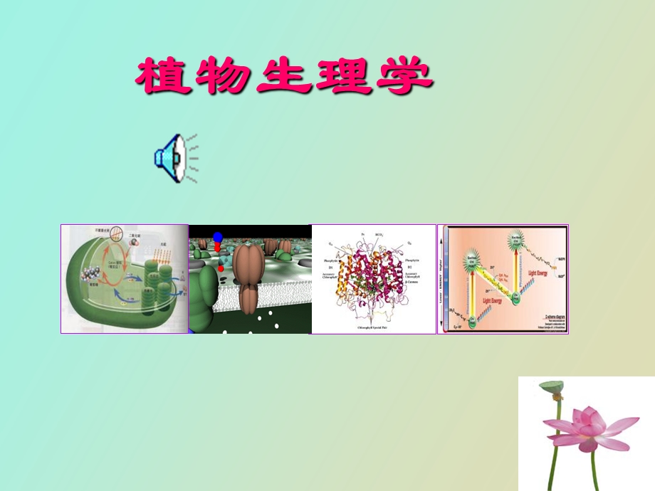 植物生理学之成花.ppt_第1页