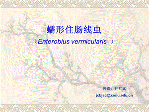 蠕形住肠线虫Enterobiusvermicularis.ppt