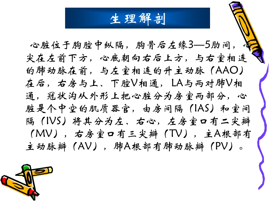 心脏超声诊断课件.ppt_第3页