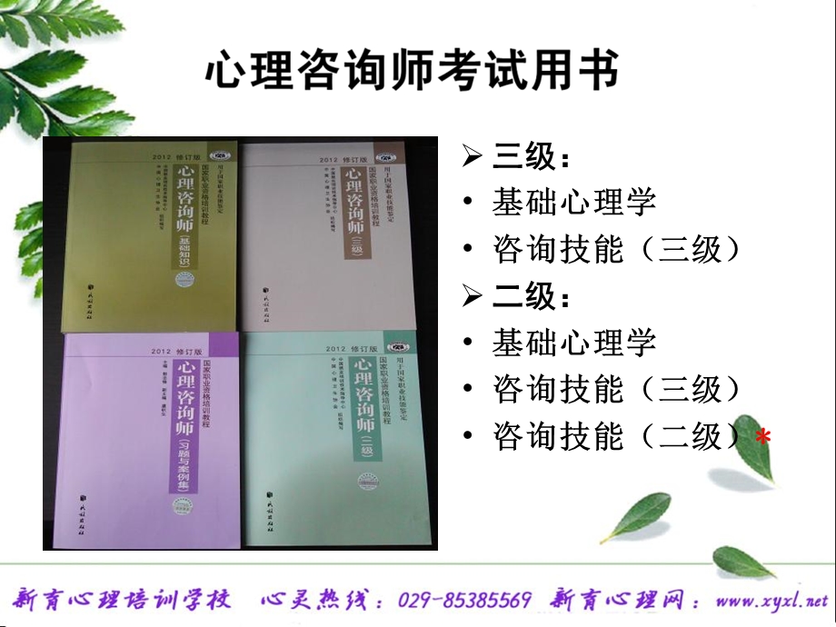 心理咨询师考试辅导-三级.ppt_第2页