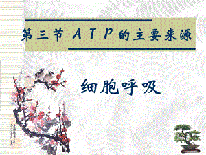 细胞呼吸　课件.ppt