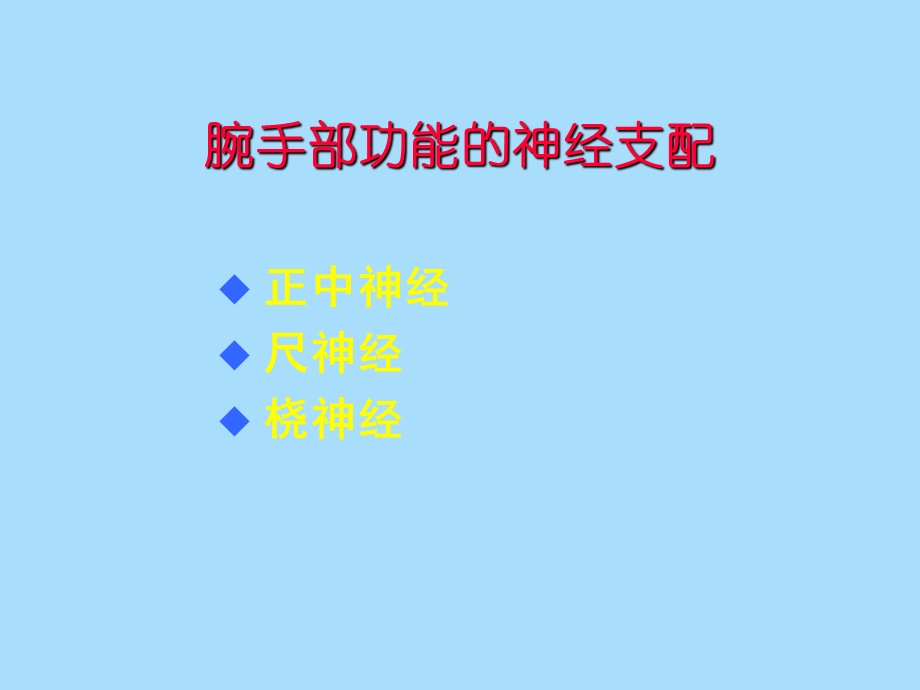 手的神经配布.ppt_第2页