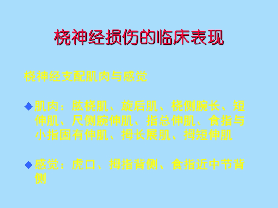 手的神经配布.ppt_第3页