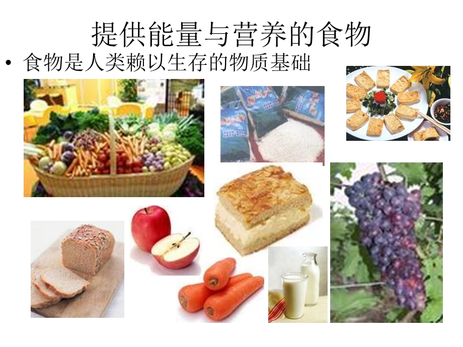 提供能量与营养的食物.ppt_第3页