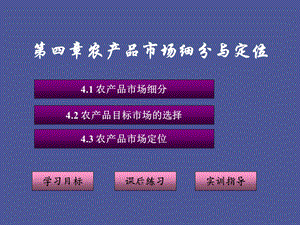 医药营销市场细分.ppt