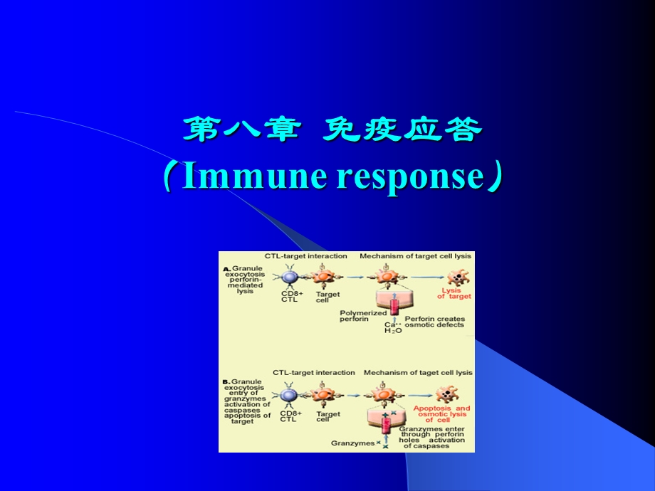 第八章免疫应答.ppt_第1页