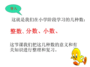 小学六年级数学总复习数的认识.ppt