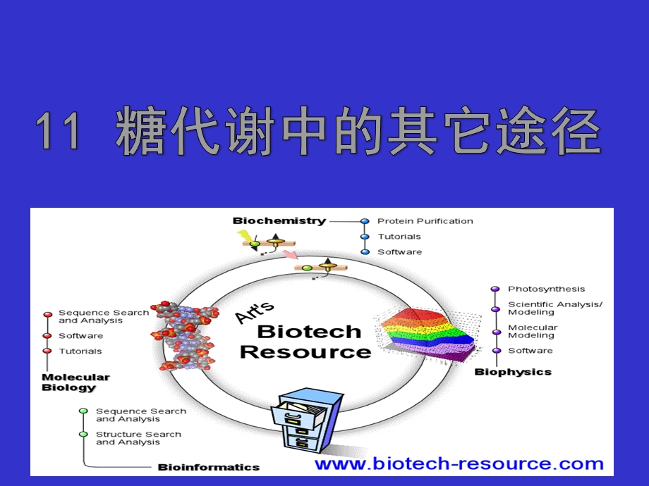 糖代谢中的其它途径.ppt_第1页