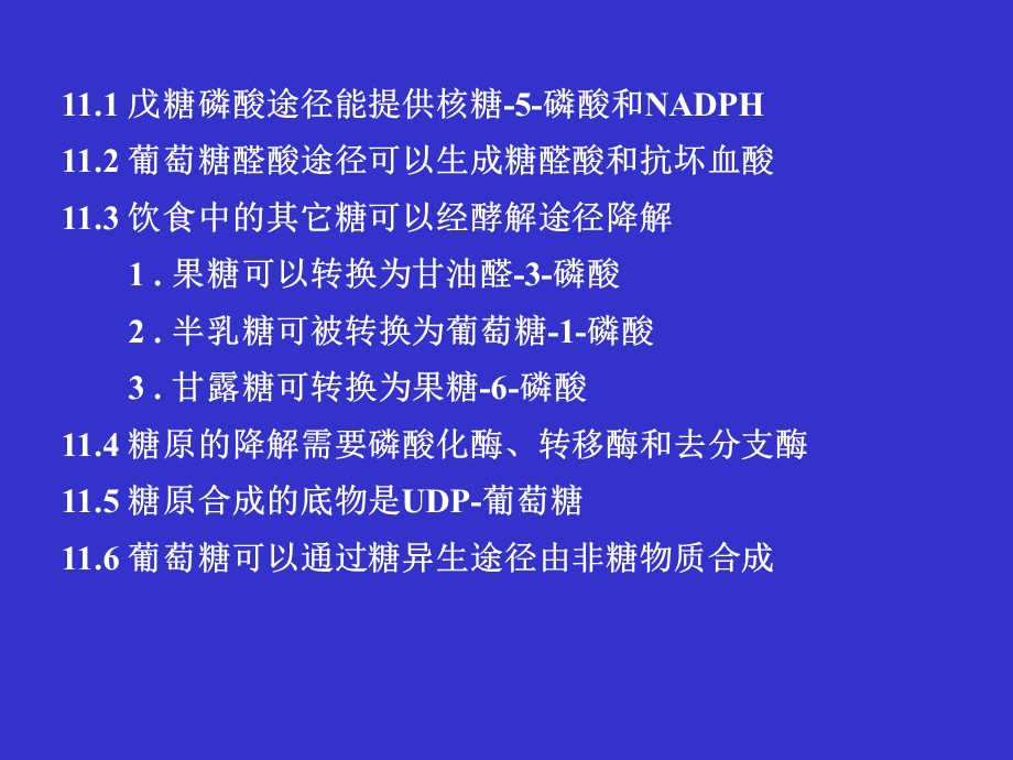 糖代谢中的其它途径.ppt_第2页