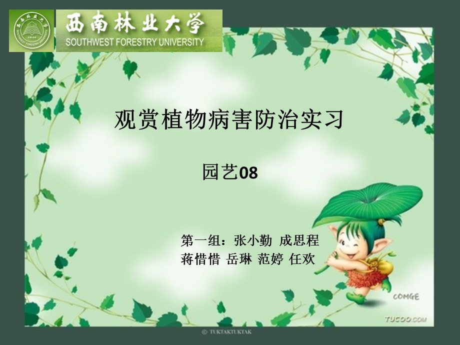 观赏植物病害防治实习.ppt_第1页