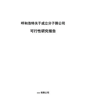 呼和浩特关于成立分子筛公司可行性研究报告.docx