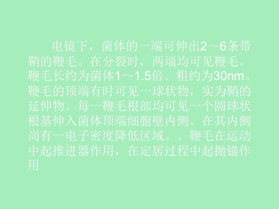 幽门螺旋杆菌的诊.ppt_第3页