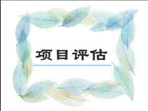 项目评估.ppt