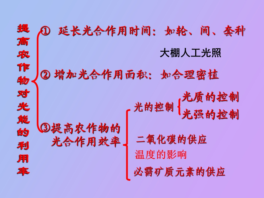 植物的光合作用效率.ppt_第2页