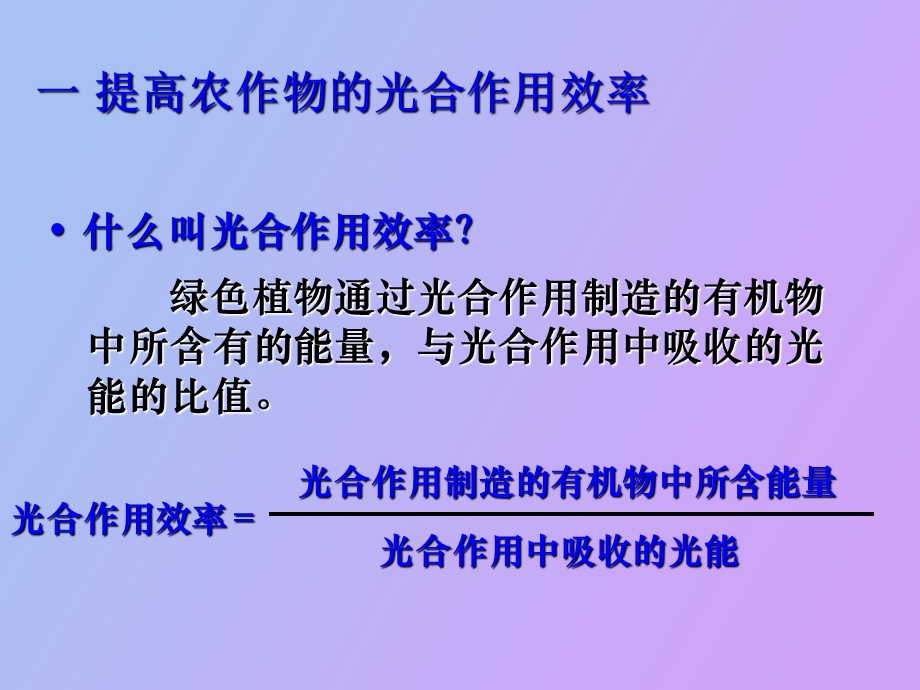 植物的光合作用效率.ppt_第3页