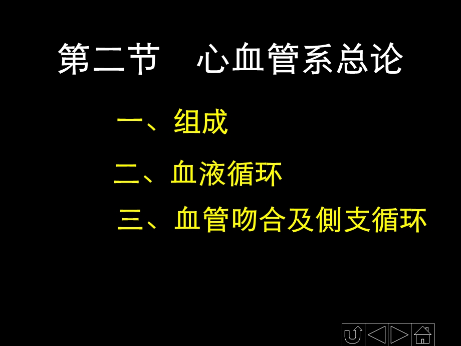 正常人体解剖学-循环系统.ppt_第3页