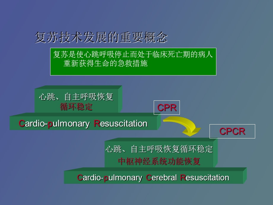 心肺脑复苏影像诊断.ppt_第3页