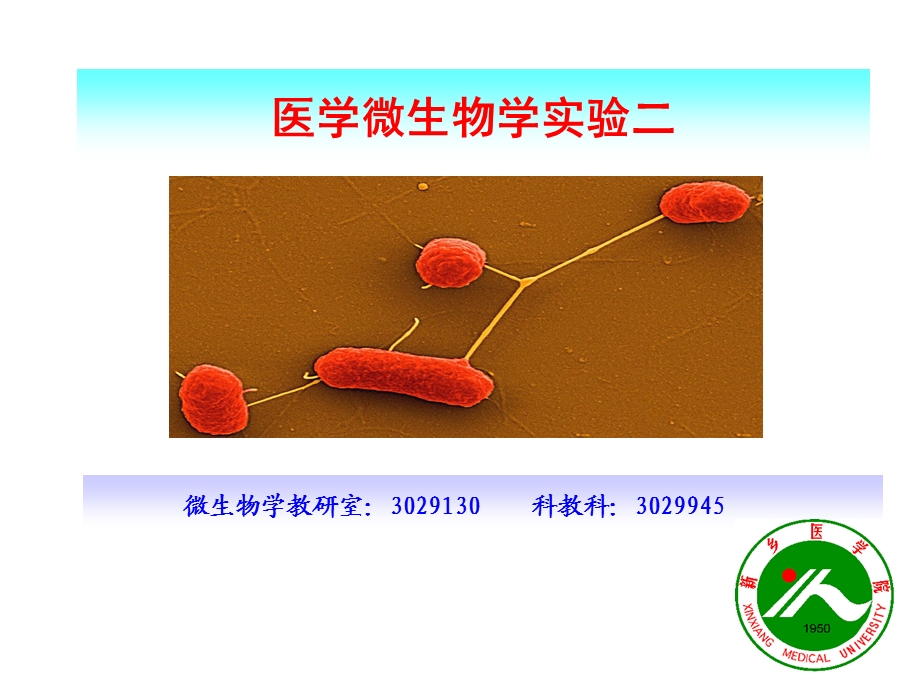 医学微生物学实验二抗酸染.ppt_第1页