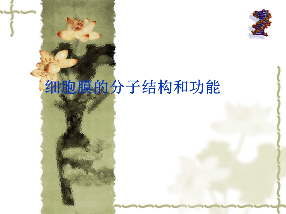 细胞膜ppt课件.ppt_第1页