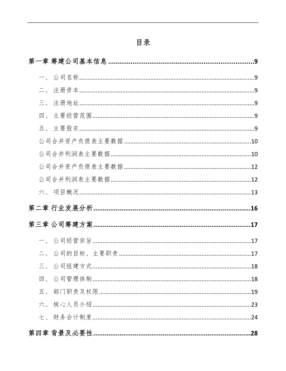 吉林省关于成立有刷电机公司可行性研究报告模板范本.docx_第2页