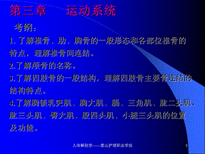 躯干骨颅骨.ppt