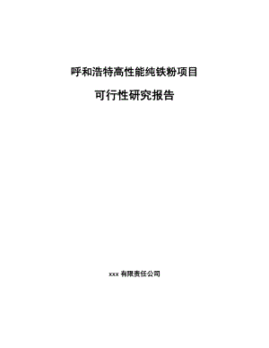 呼和浩特高性能纯铁粉项目可行性研究报告.docx