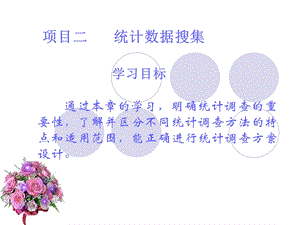 项目二统计数据搜集.ppt