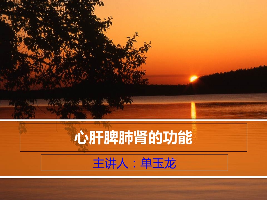 心肝脾肺肾的功能.ppt_第1页