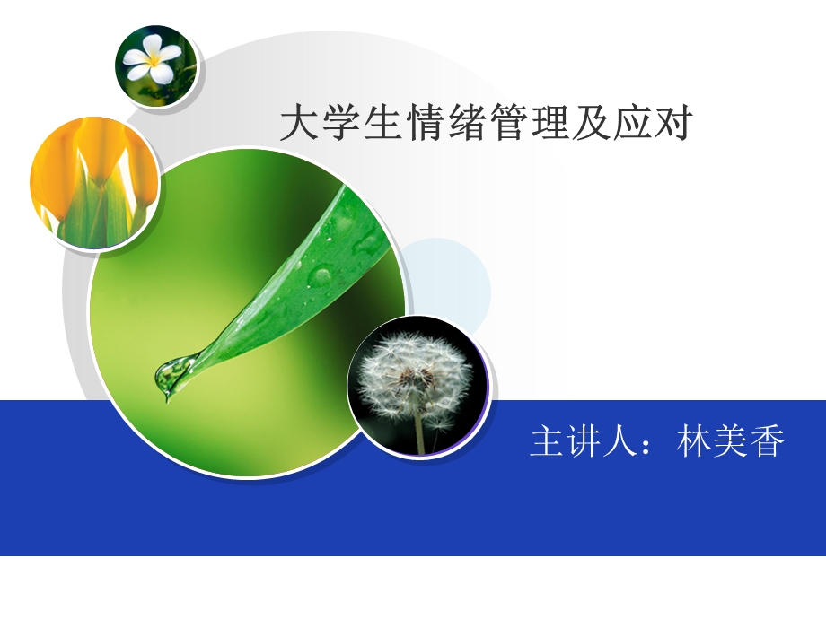 情绪管理与压力调节.ppt_第1页