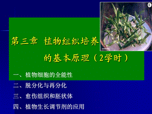 植物组织培养的基本原理6学时.ppt