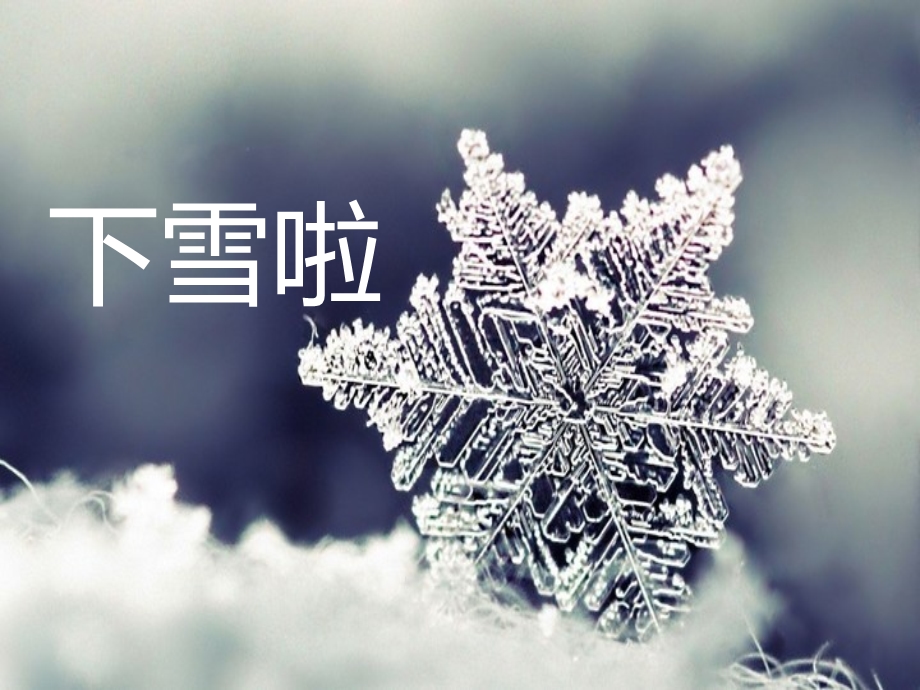 小学美术儿童画课件-下雪啦.ppt_第1页