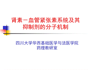 肾素－血管经张素系统分子药理学.ppt